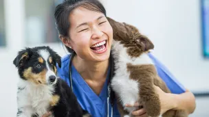 Klinikkaeläintenhoitaja kahden koiranpennun kanssa