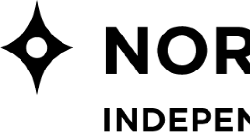 Silhouette of a bird in flight against a circular abstract background.