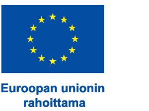 Euroopan unionin rahoittama